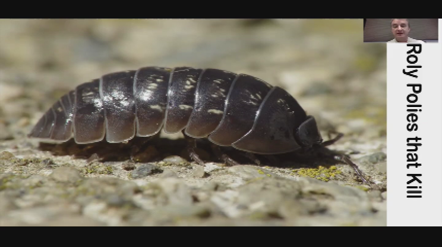 Thumbnail image for CPS Science Show