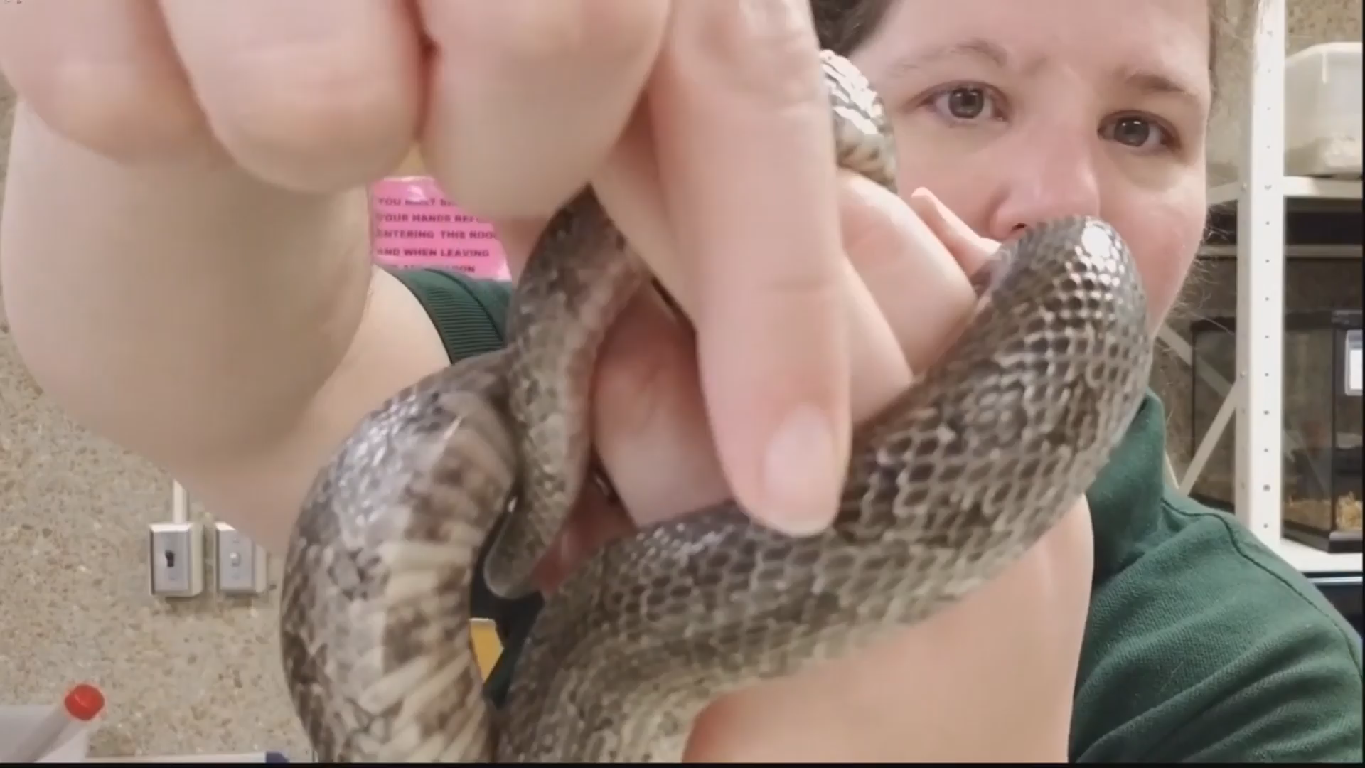 Thumbnail image for The CPS Science Show