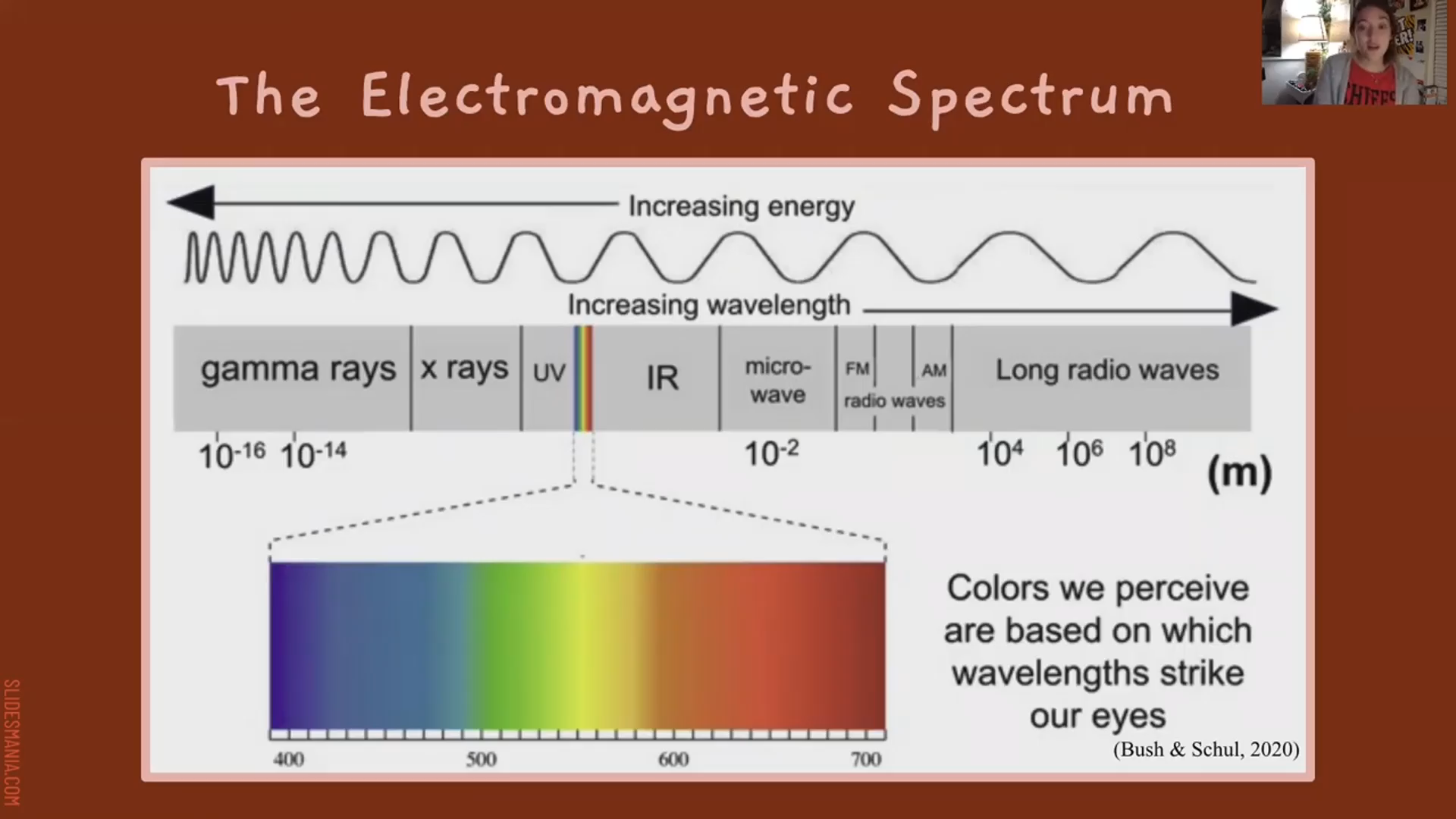 Thumbnail image for The CPS Science Show