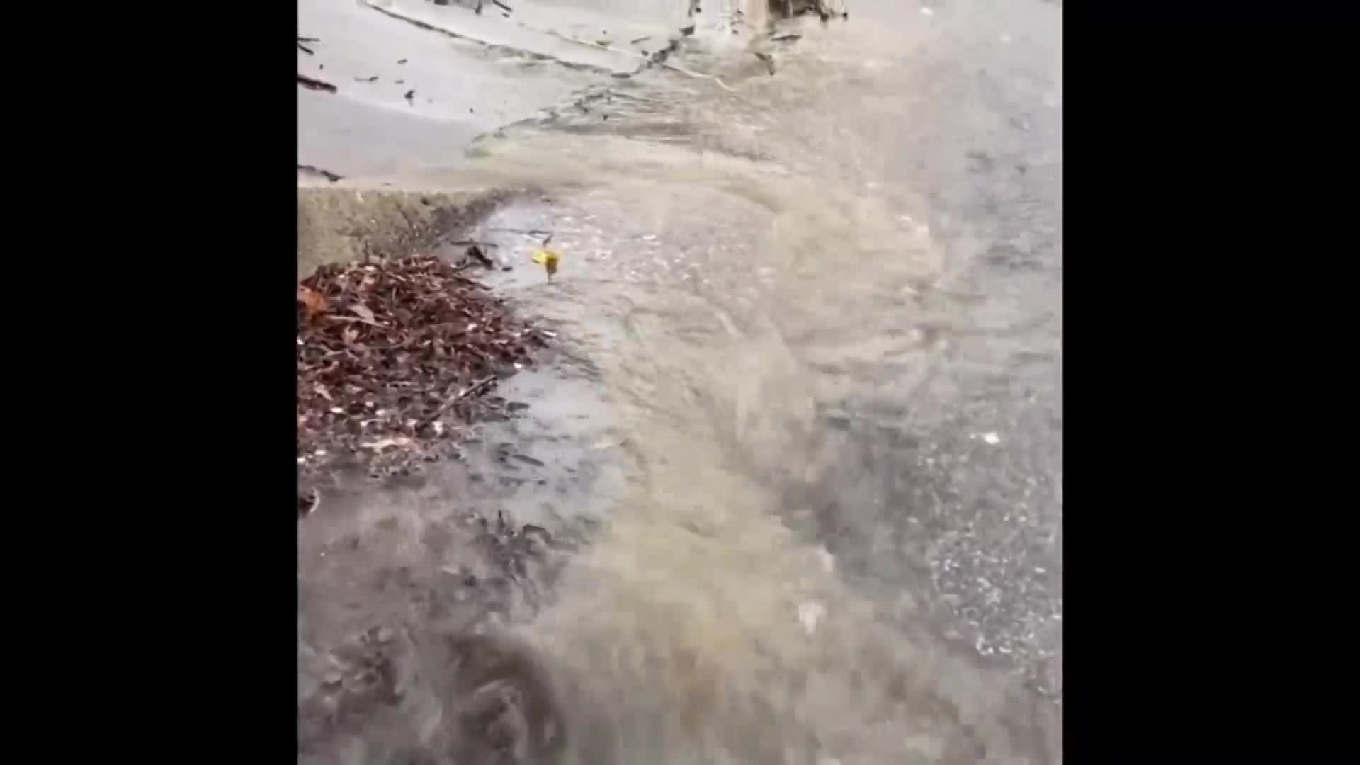 Thumbnail image for CPS Science Show_ 41321